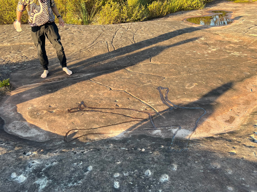 Guringai Aboriginal Tours景点图片