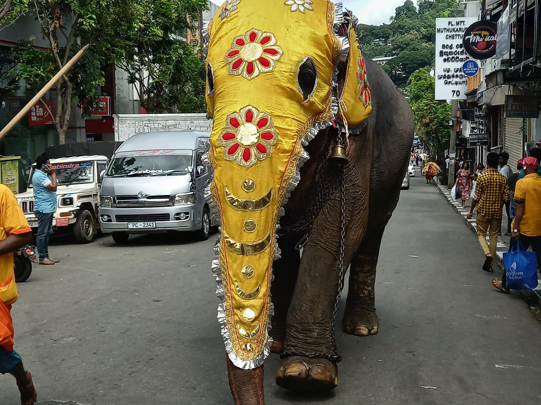Raj Lanka Tours Nouraj景点图片