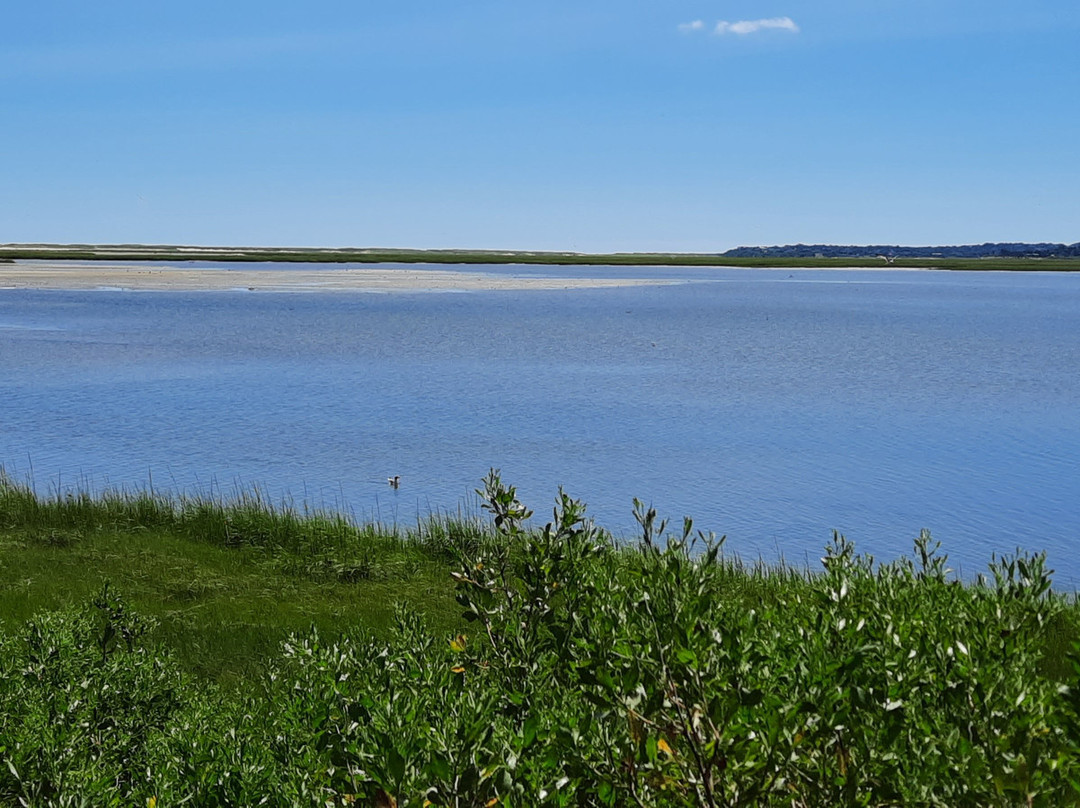 Salt Pond Visitor Center景点图片