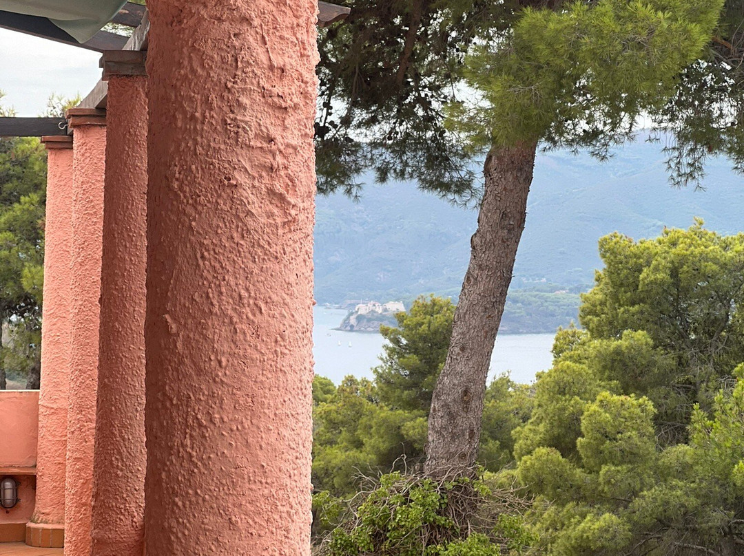 Gavila's Residenza Turistico Alberghiera主图