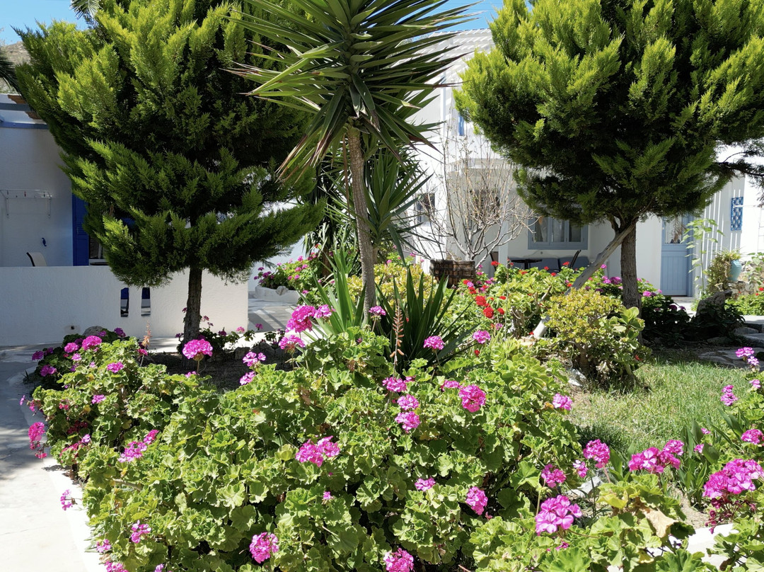 Lakki Village Family Beach Hotel主图