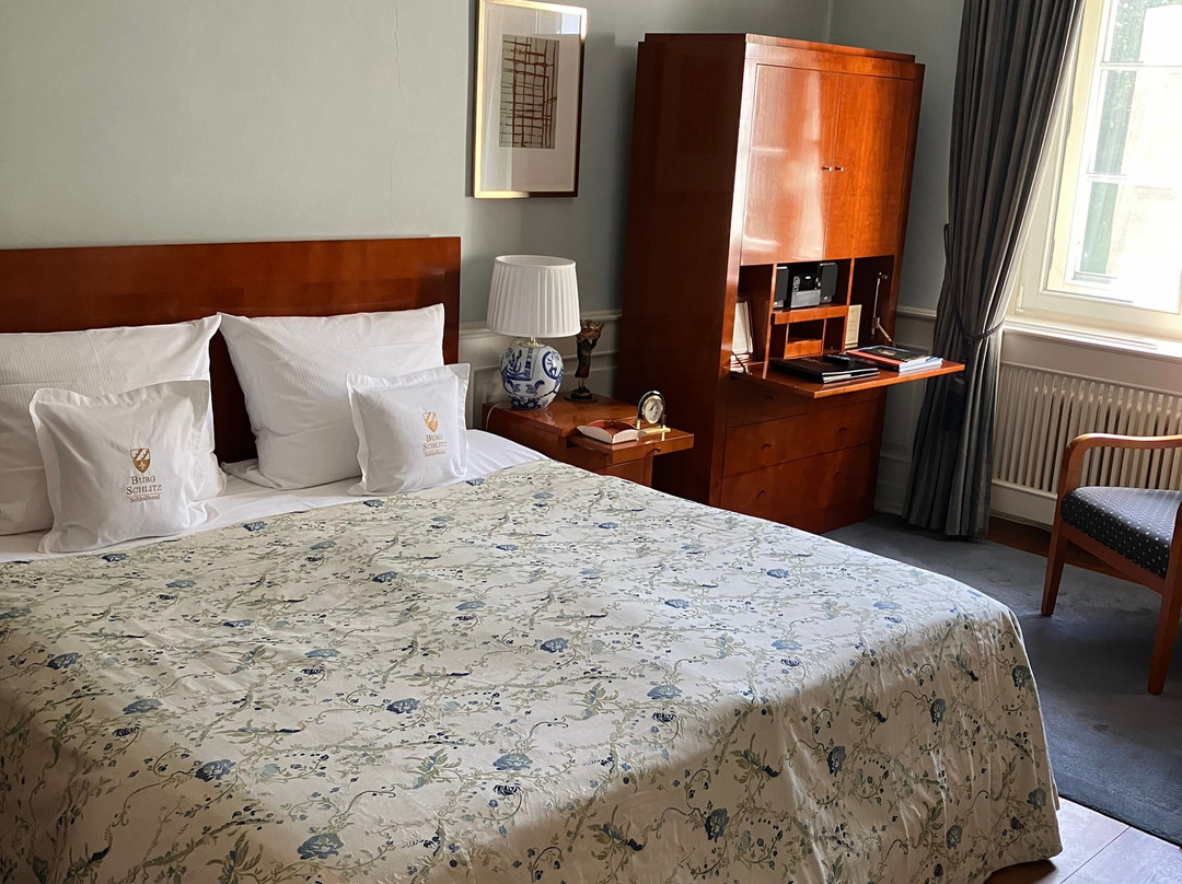 舒尔兹伯格城堡酒店主图