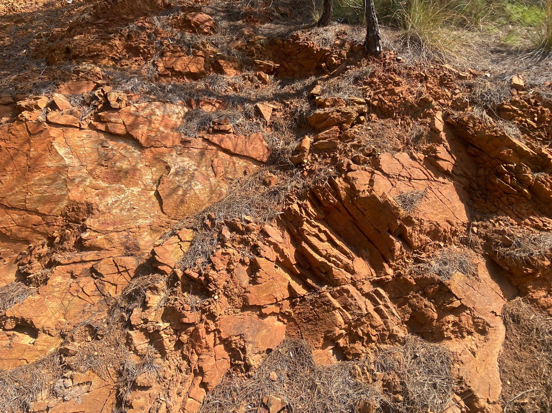 Elba Island Mining Park景点图片