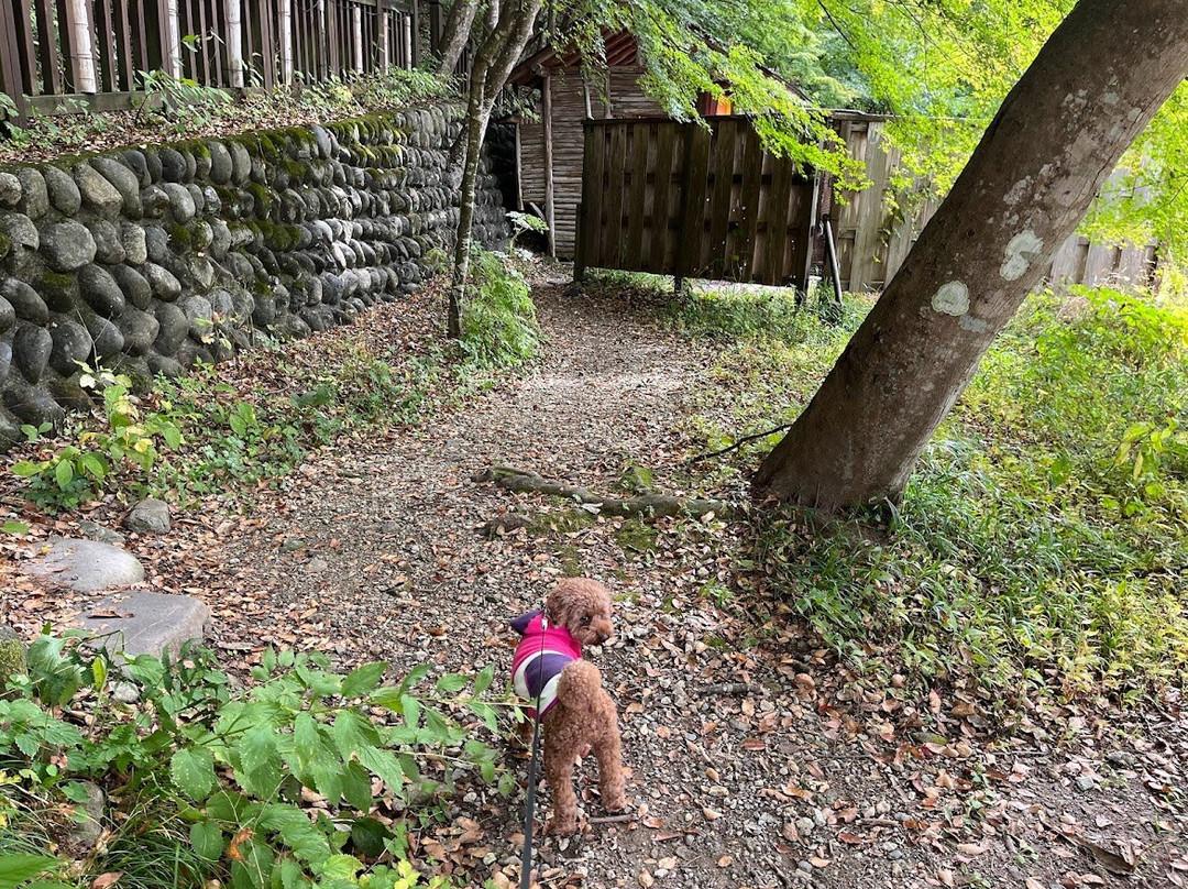 Kurenai Bridge-那须盐原市必去景点