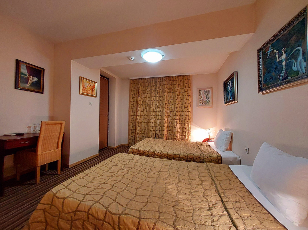 Art Hotel Galeria主图