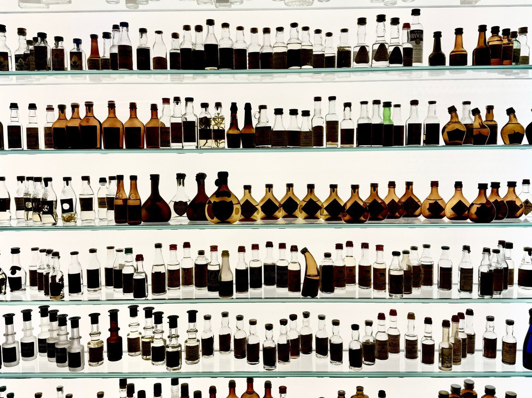 Poli Museo della Grappa景点图片