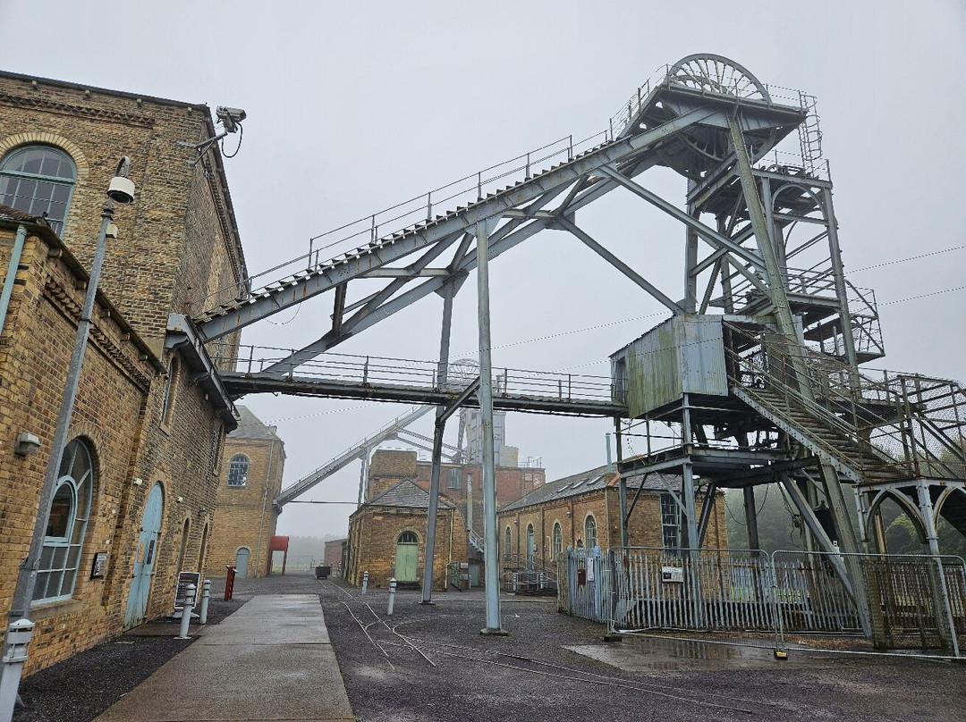 Woodhorn Museum景点图片