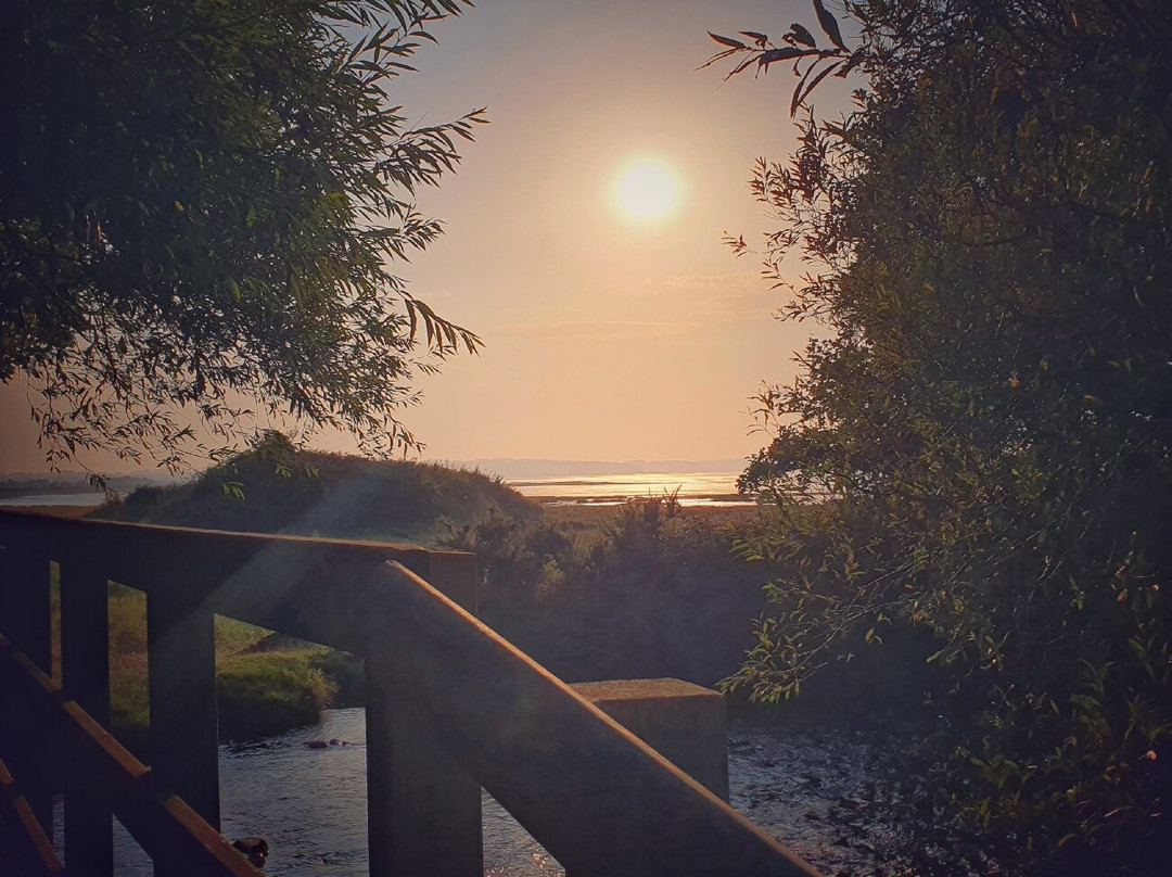 Morfa Aber Nature Reserve景点图片