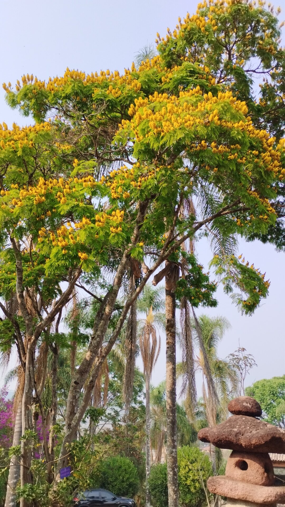 Pousada Capricho Asturiano-家庭/游戏区