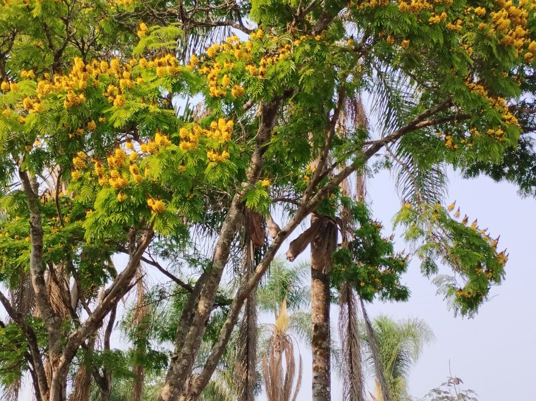 Pousada Capricho Asturiano主图