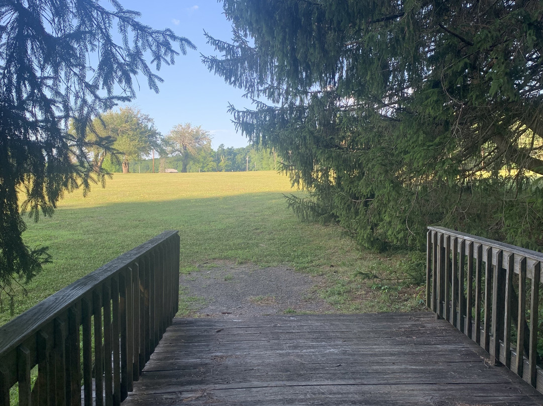 Pine Lake Manor主图