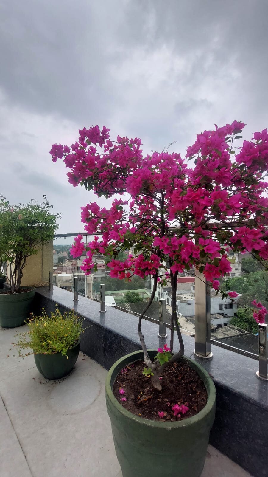 Nataraj Sarovar Portico-泳池