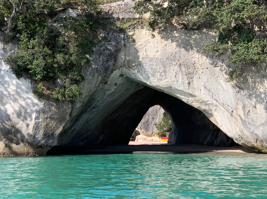 Cathedral Cove Scenic Cruises-菲蒂昂格必去景点
