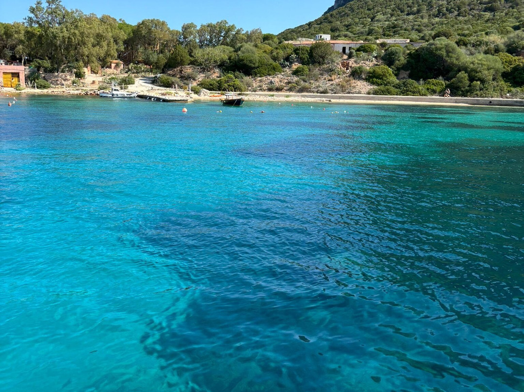 Oltremare Escursioni Golfo Aranci-Golfo Aranci必去景点