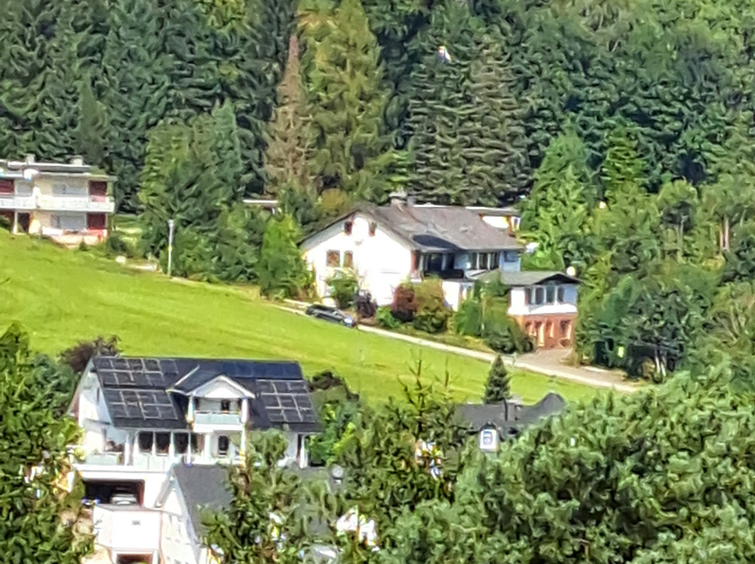 Wald Hotel Willingen主图