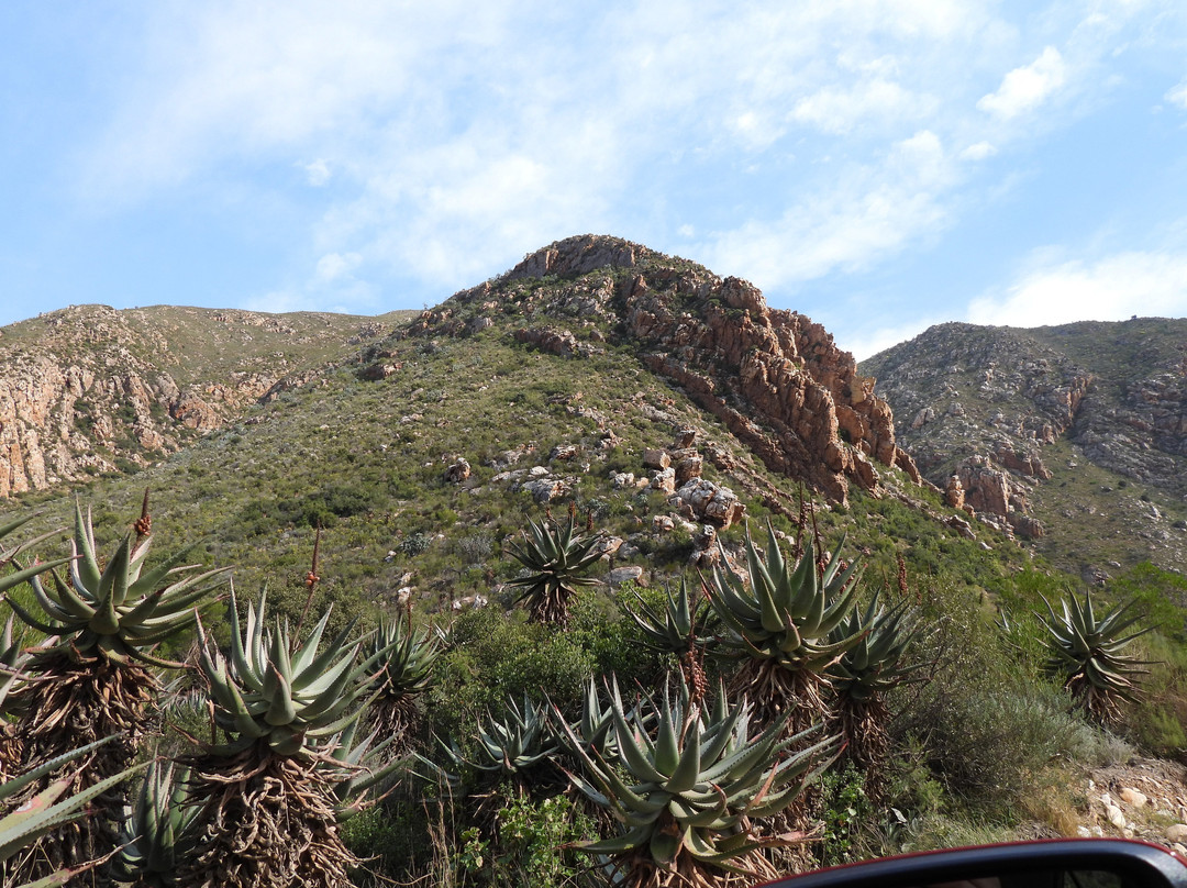 Seweweekspoort-Ladismith必去景点