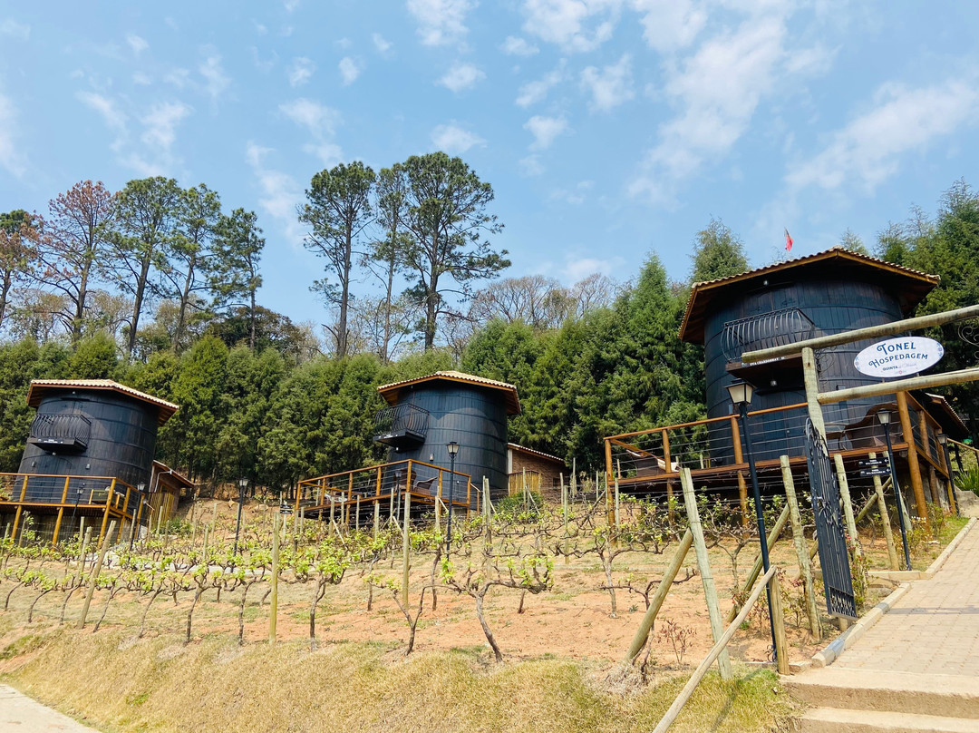 Pousada Quinta Do Olivardo