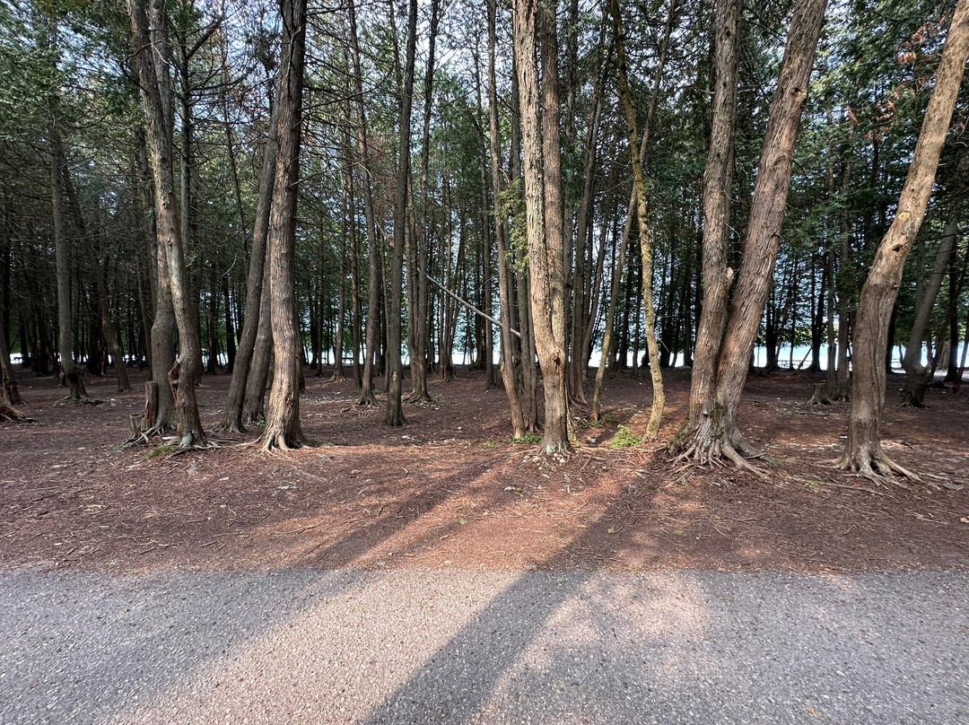 School House Beach-Washington Island必去景点