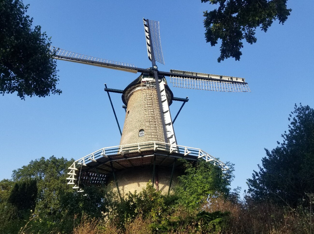 Molen van Groot (Piet)景点图片