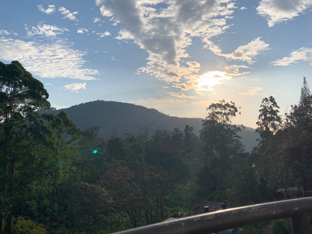 Lilly Guest Inn主图