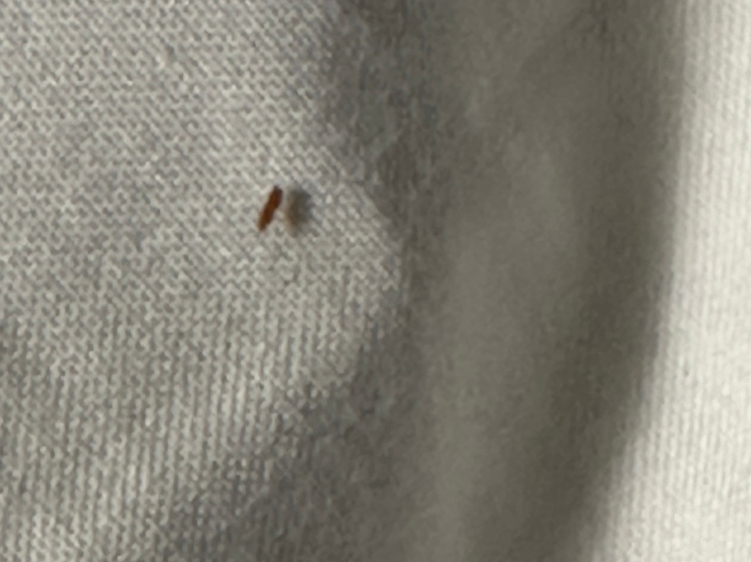 Best Western Visalia Hotel主图