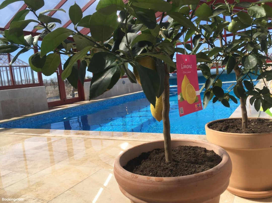 Kastanjegården på Stenshuvud主图