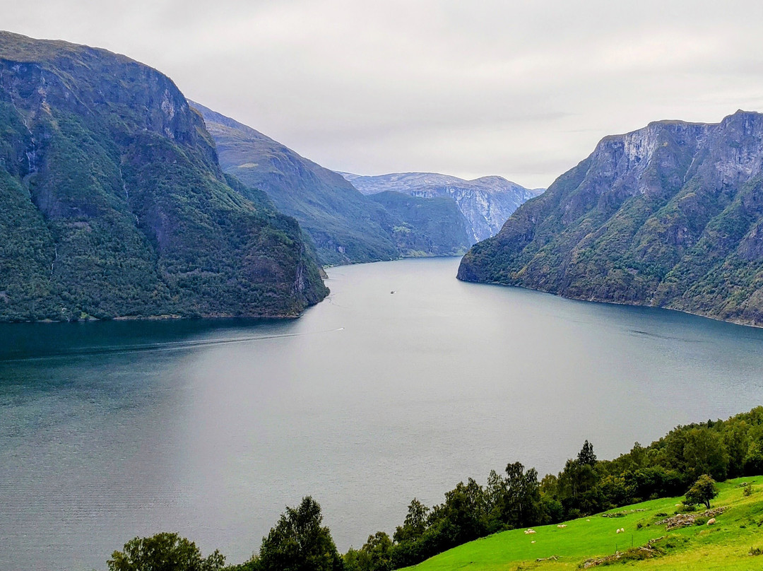 Fjordrive Tours AS-卑尔根必去景点