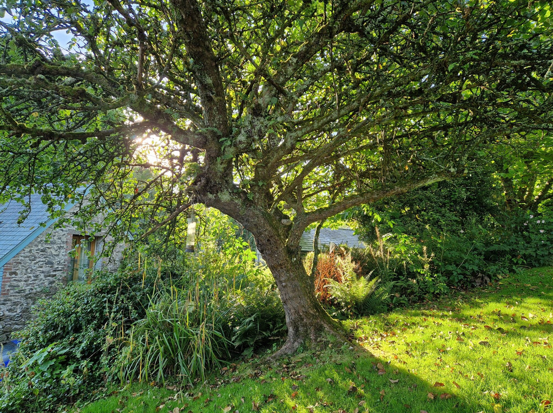 Glebe Farm Bed and Breakfast主图