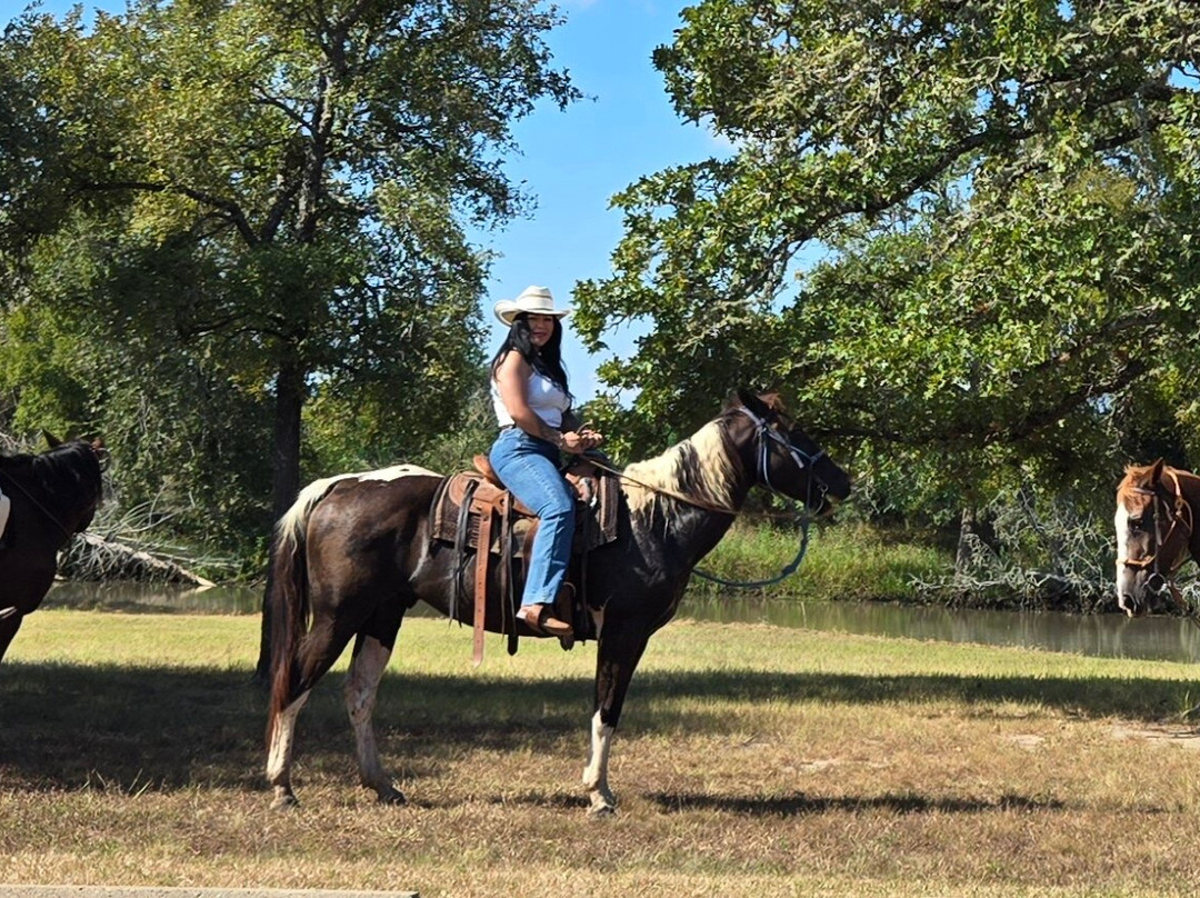 Lake Somerville State Park - Nails Creek Unit-Ledbetter必去景点