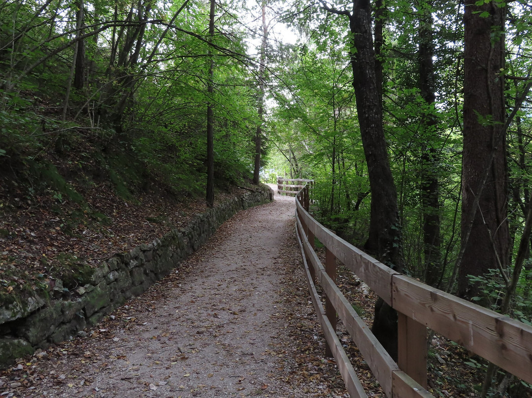 Sentiero nella Roccia per San Romedio景点图片