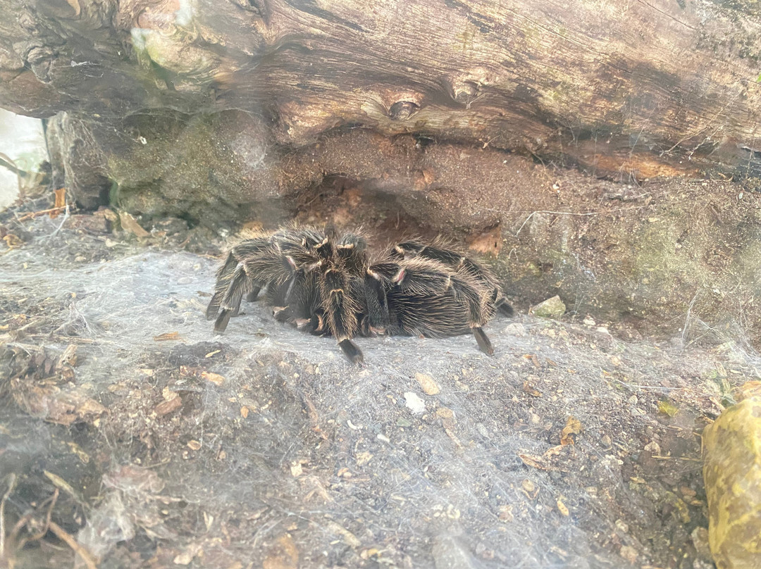 Lakeland Wildlife Oasis景点图片