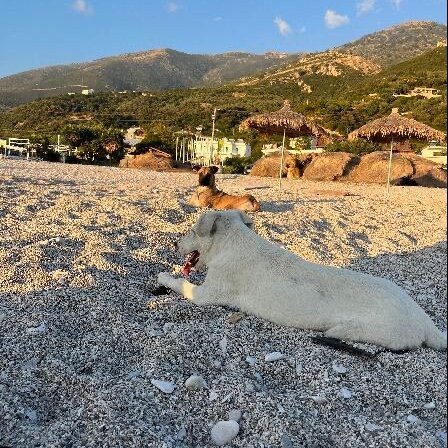 Borsh Beach-Borsh必去景点