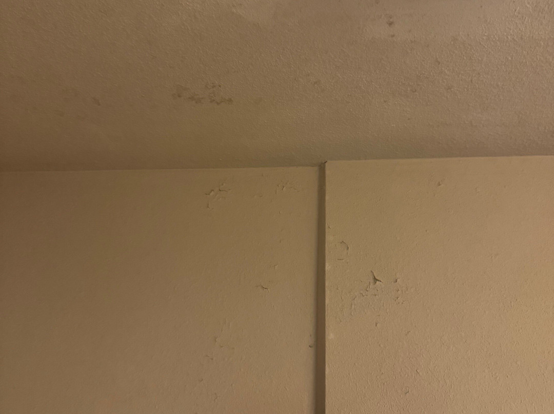 Best Western Oak Meadows Inn主图