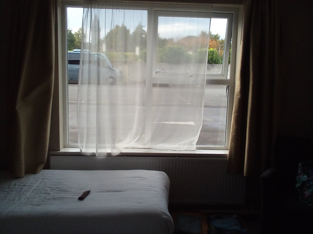 Treacy's Hotel主图