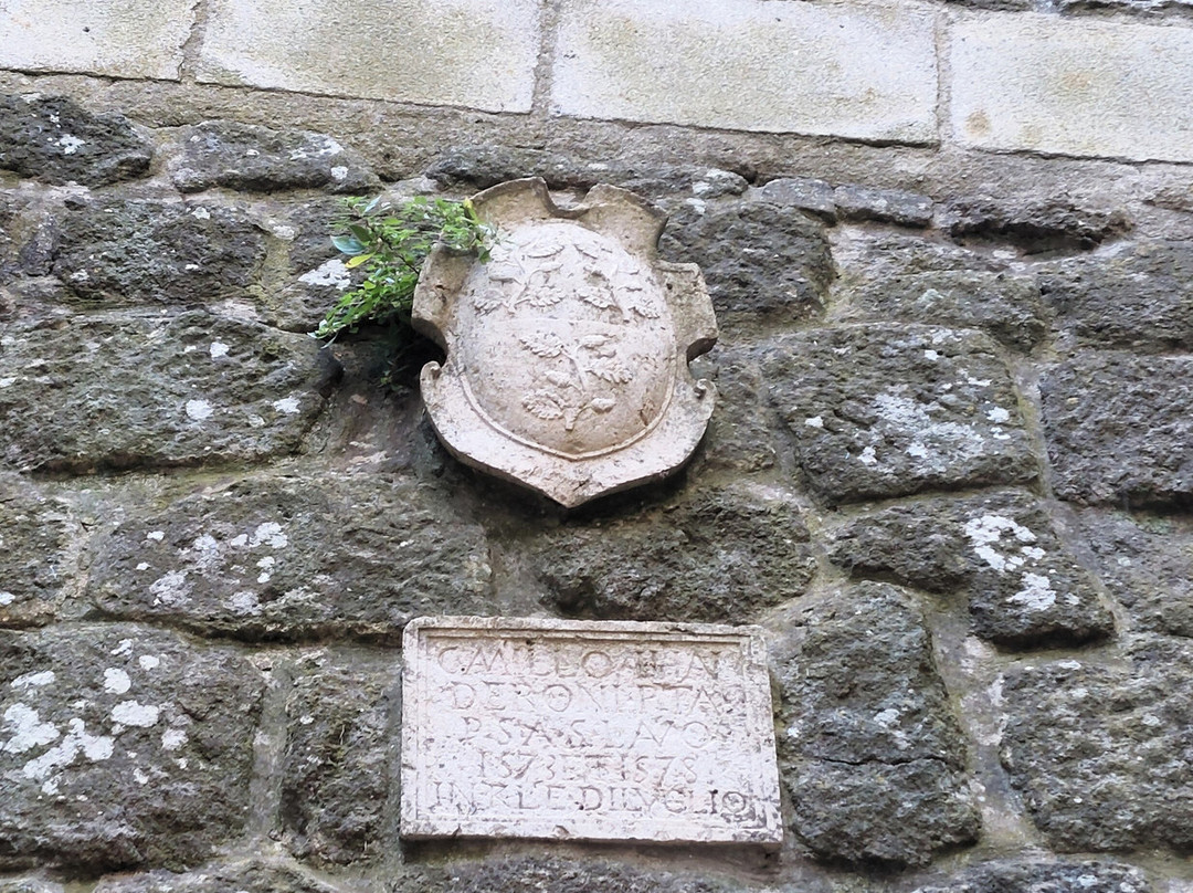 Rocca degli Aldobrandeschi景点图片