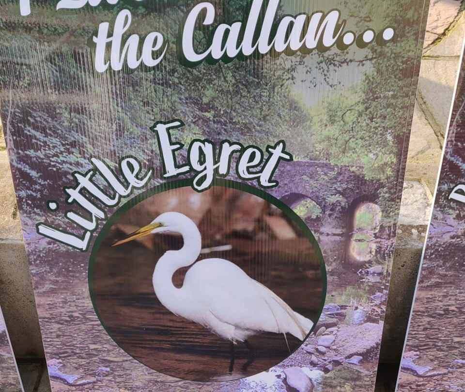 Callan River-阿尔马必去景点