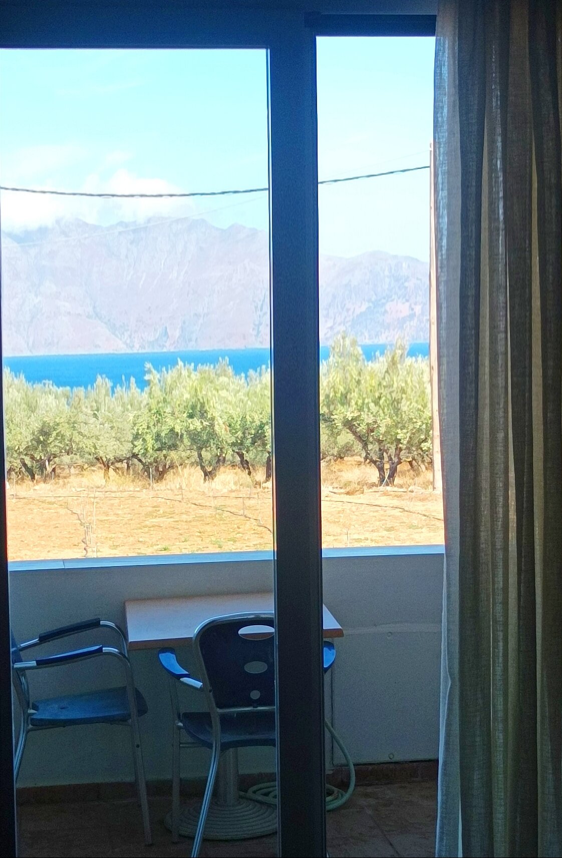 Olive Tree Apartments-官方