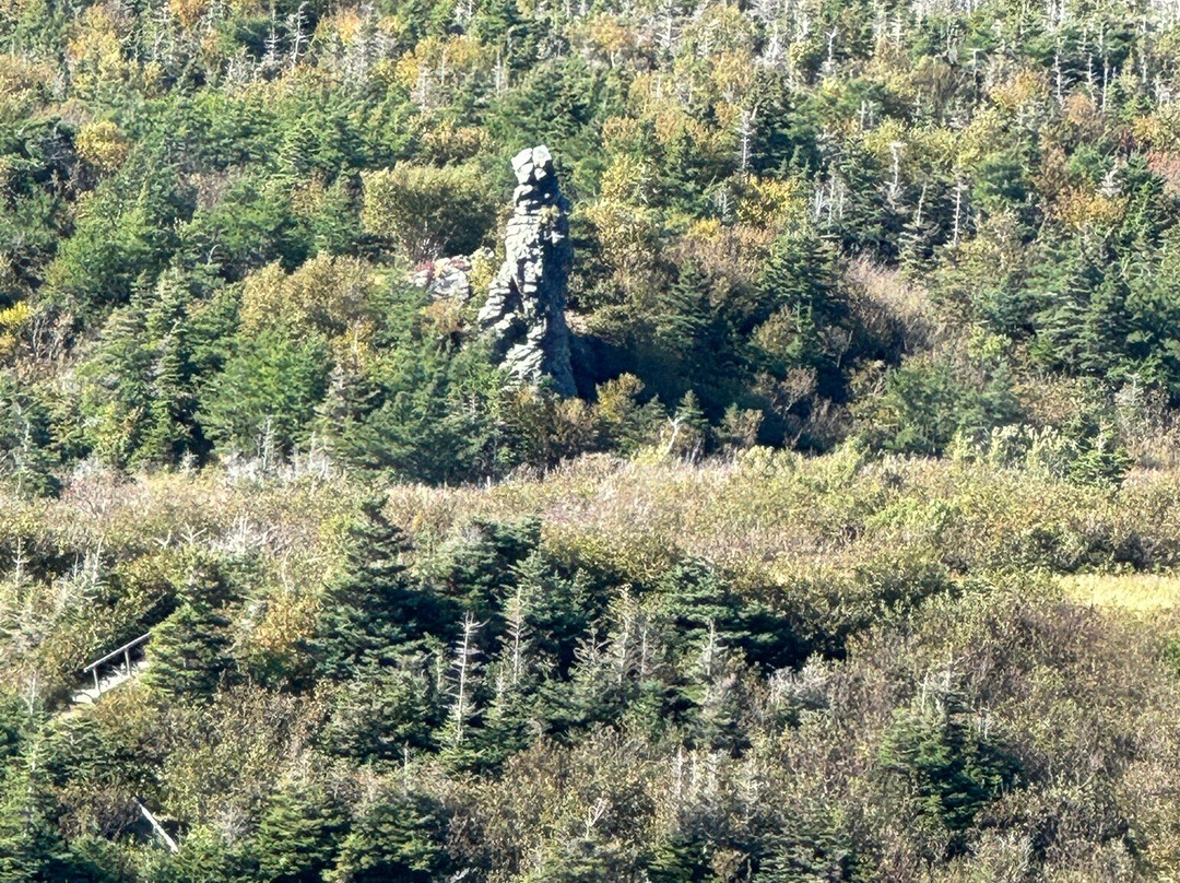 Gros Morne Transportation & Tours景点图片