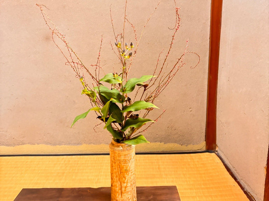 Naramachi Townhouse of Traditional Lifestyle-奈良市必去景点