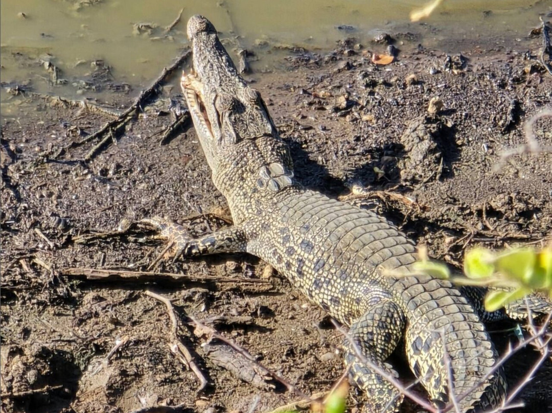 Explore Sri Lanka Tours-拉非尼亚山必去景点