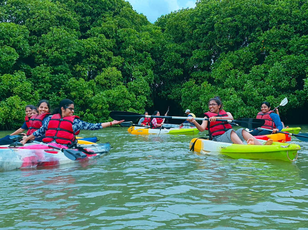 Mangrove Forest Kayaking Varkala景点图片
