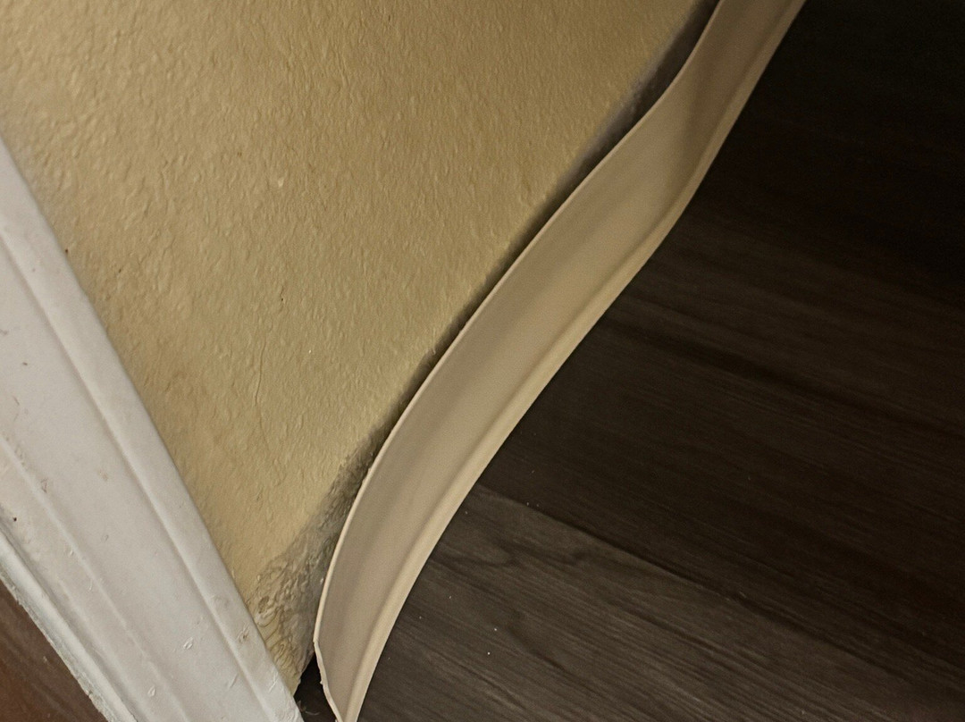 Rodeway Inn & Suites主图