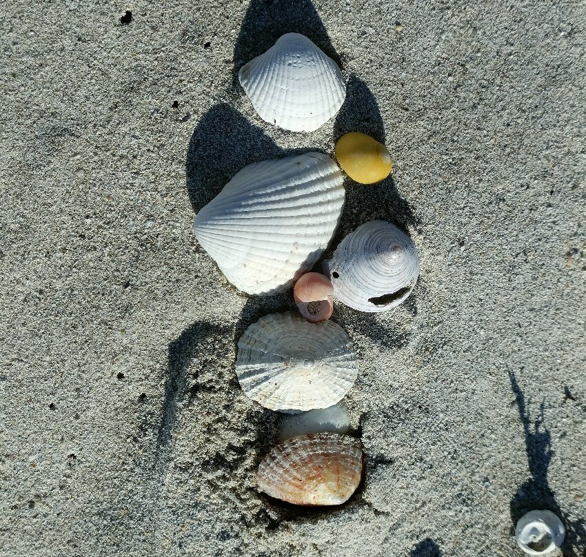 Aillebrack Green Coast Beach景点图片