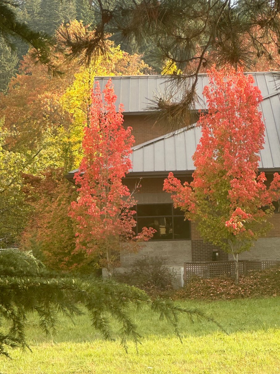 公园大道贝斯特韦斯特优质旅馆-酒店景观