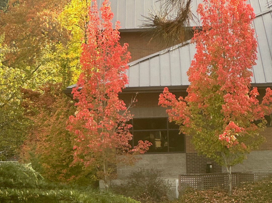 Best Western Plus Parkway Inn主图