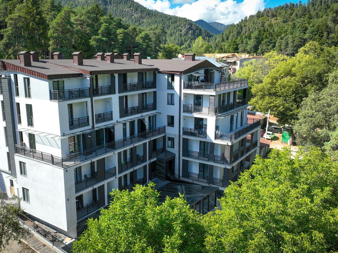 Eikon Apartments Abastumani
