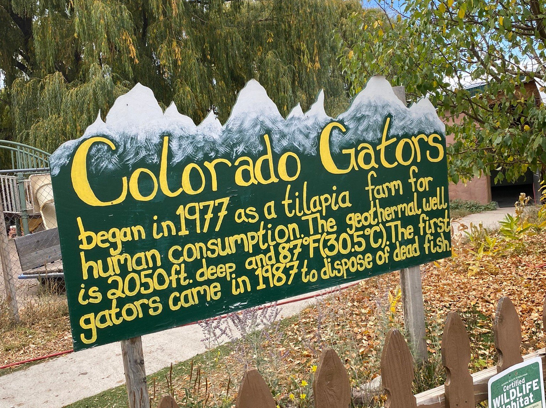Colorado Gators Reptile Park-Mosca必去景点