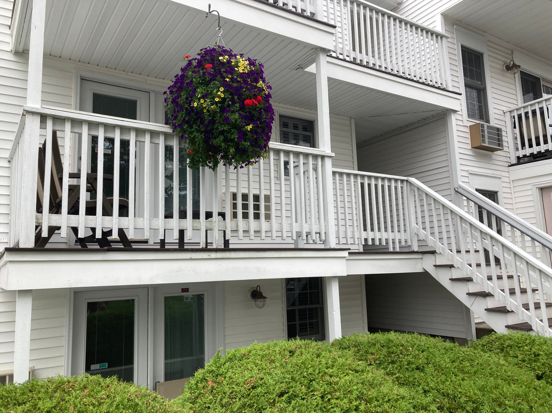 Pink Blossoms Resort主图