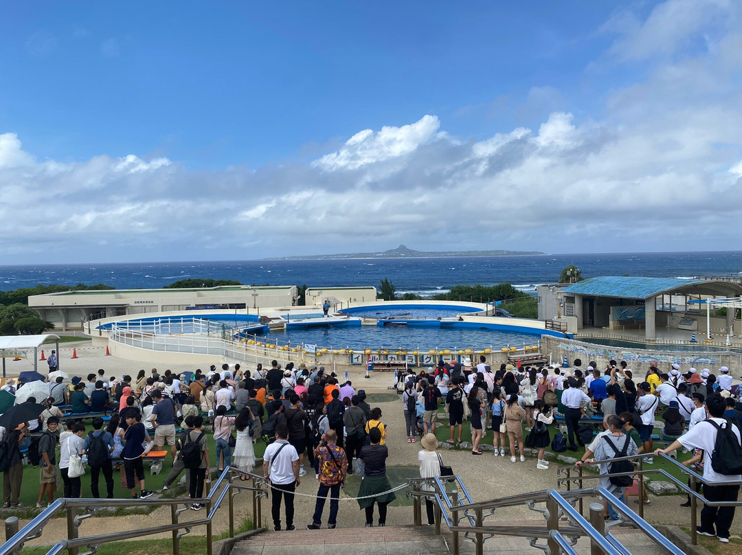 冲绳海洋博览会纪念公园景点图片