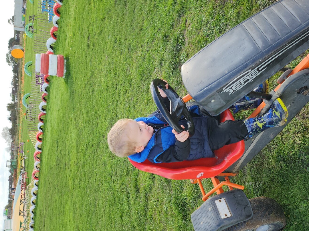 Marsh Maze And Fun Yard, Dymchurch Kent景点图片